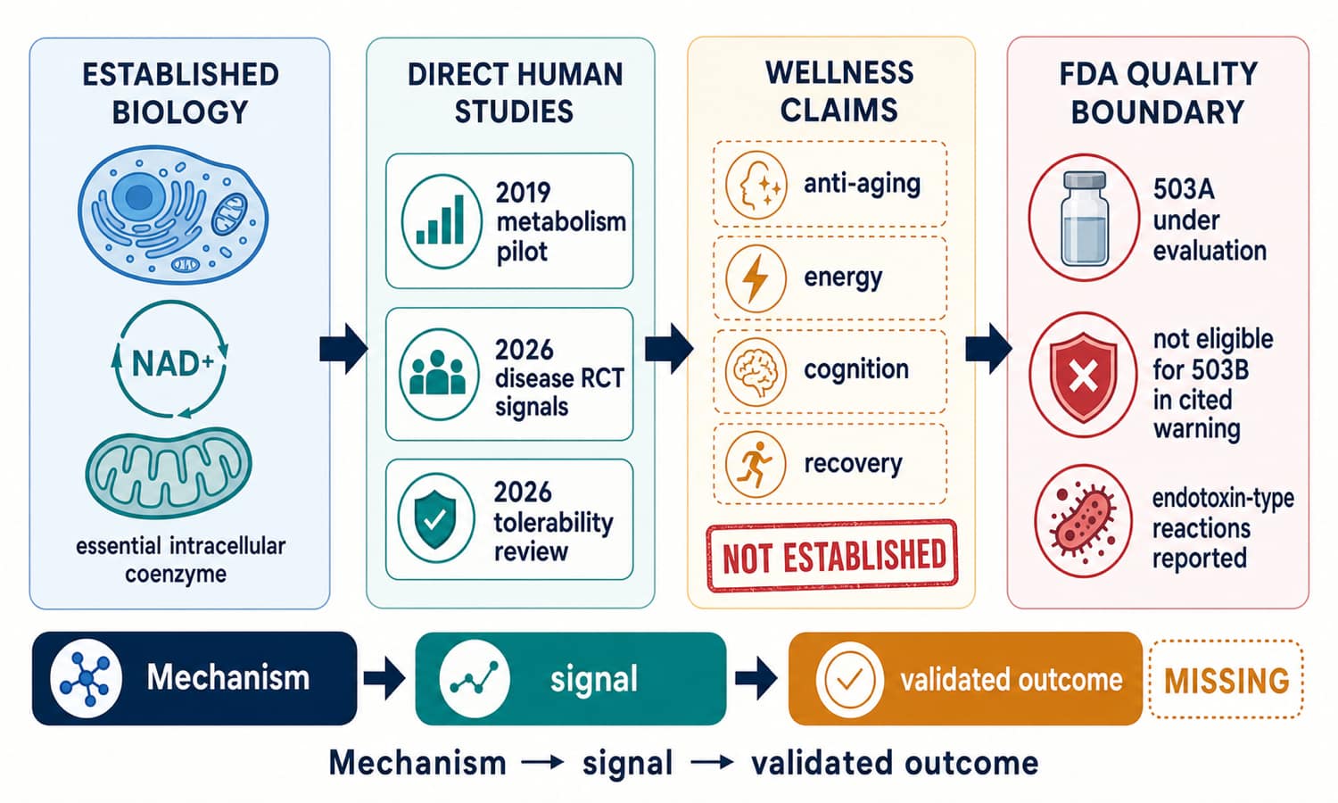 NAD plus evidence map separating cellular biology, direct metabolism and disease studies, unproven wellness claims, FDA compounding categories, and endotoxin risk