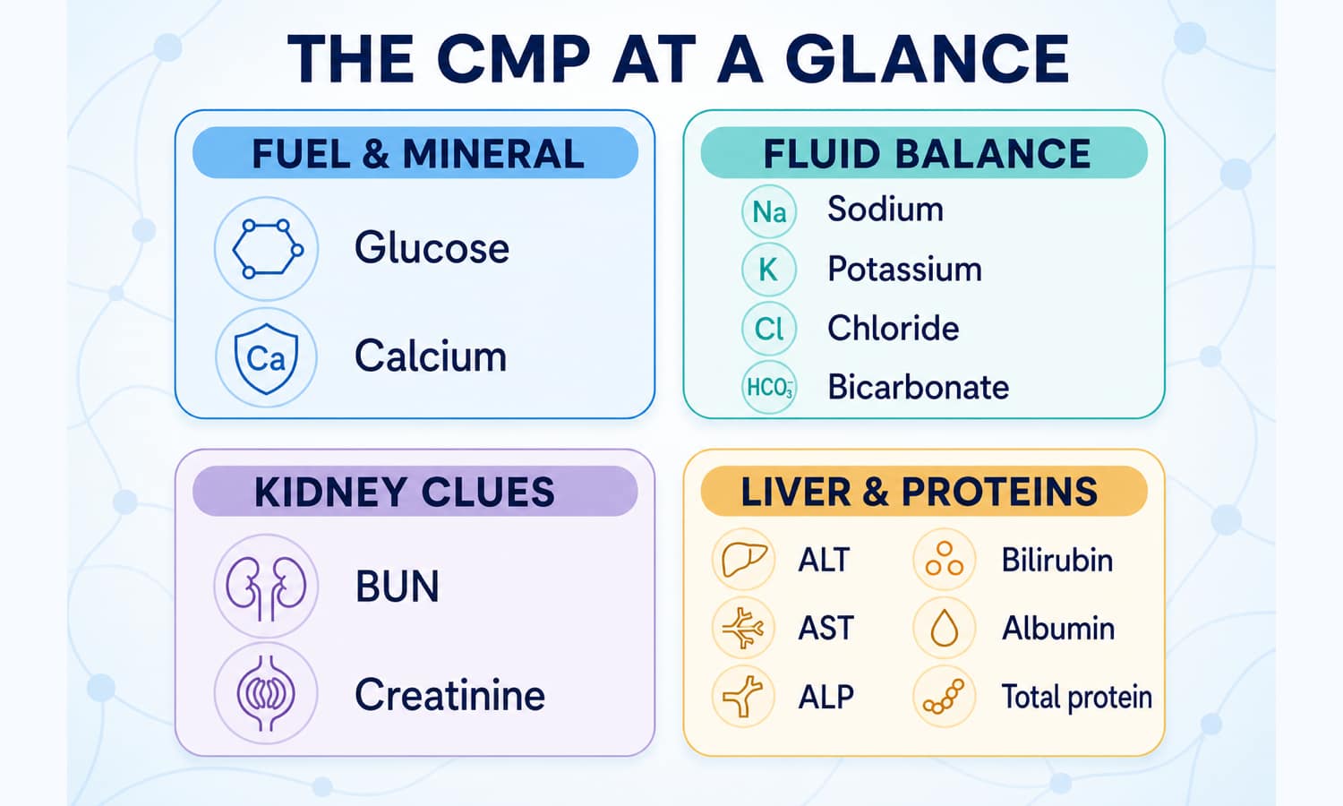 Four-part map grouping the 14 comprehensive metabolic panel measurements by the questions they help answer